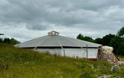 What is an Oculus Roof?